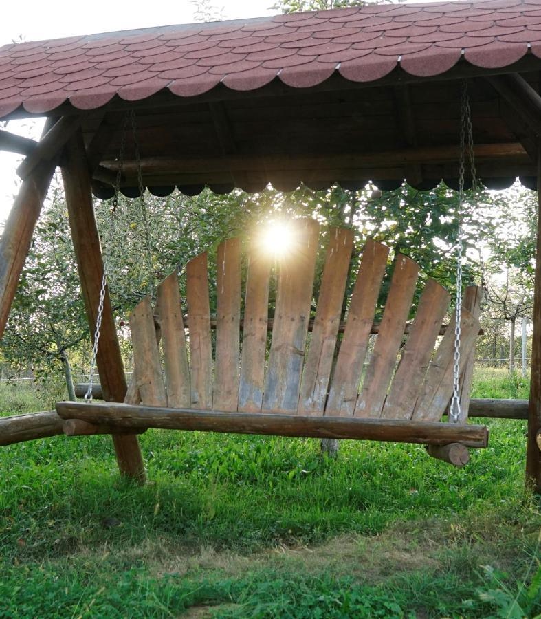 Villa Casa cu fantana Borlesti Exterior foto