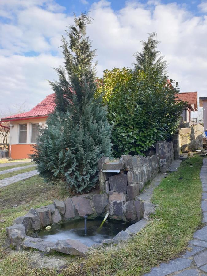 Villa Casa cu fantana Borlesti Exterior foto